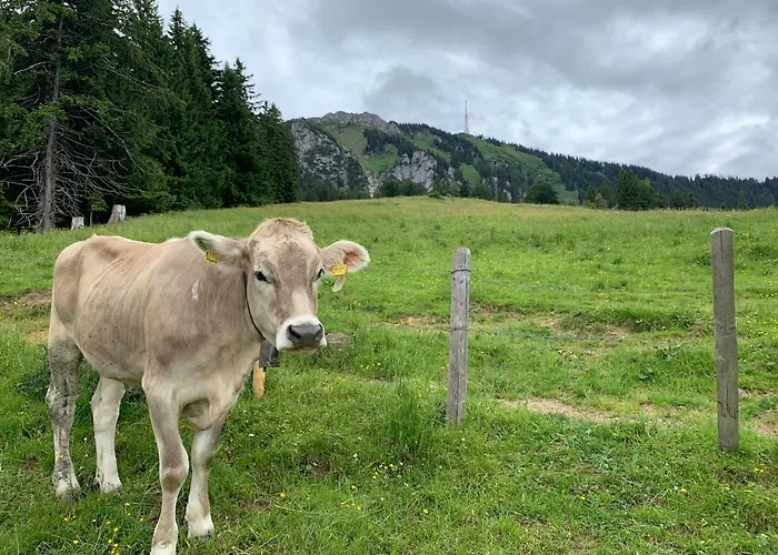 Im Dorfwirt