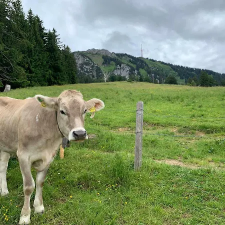 Im Dorfwirt